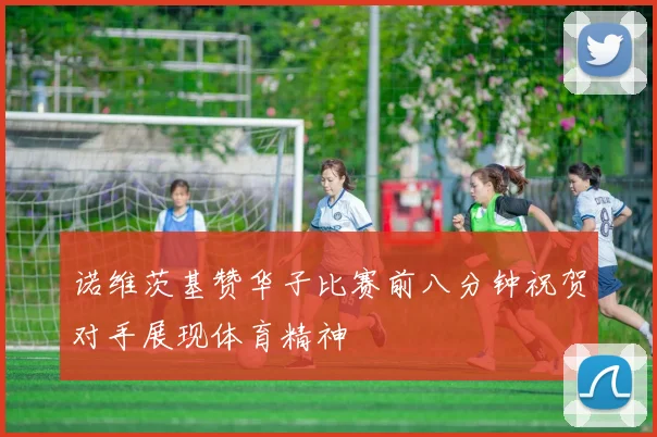 诺维茨基赞华子比赛前八分钟祝贺对手展现体育精神